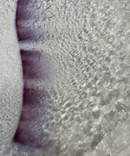 Charger l'image dans la galerie, Assiette Larosa 'Violet'